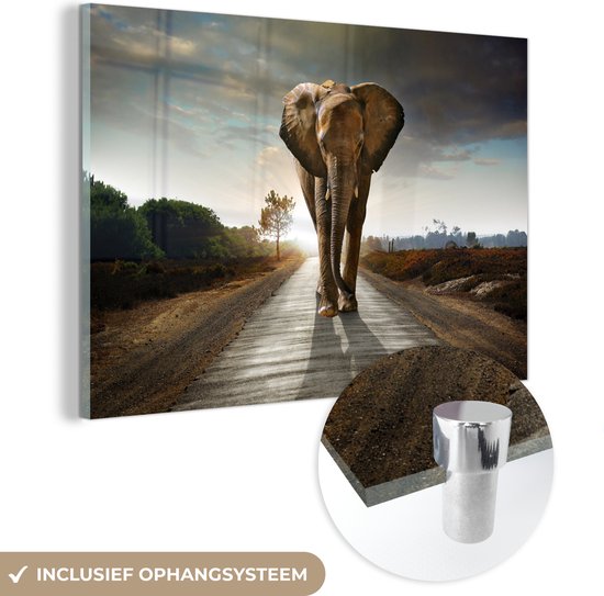 Un éléphant marche sur une route, avec un détail du système de suspension.