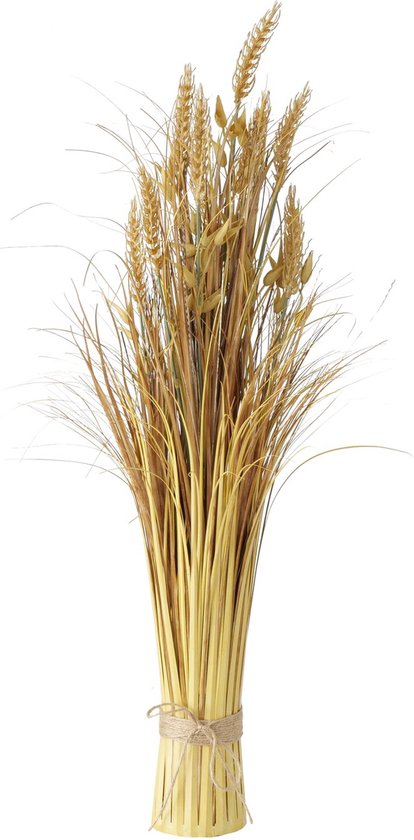 Boltze - Décoration branches - Avoine - Blé - 74cm - Ø8cm - Or - Plastique