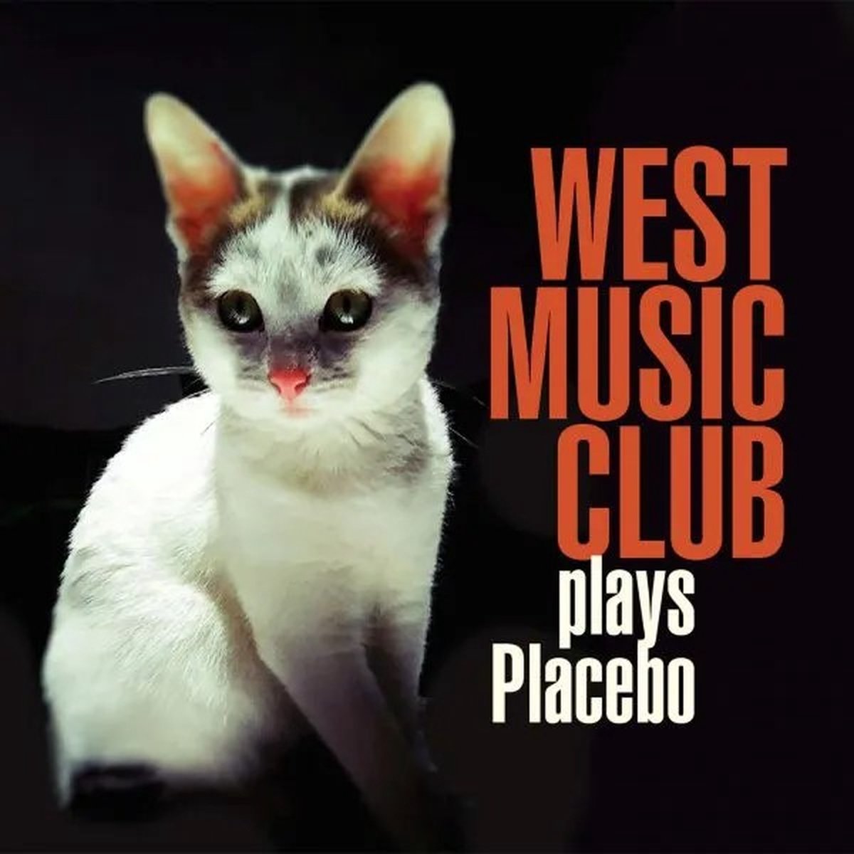 The West Music Club Orchestra - Plays Placebo (CD)