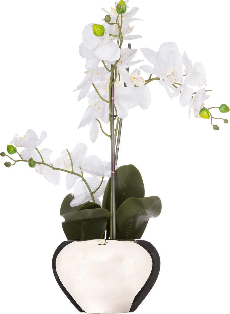 Atmosphera Orchidee bloem kunstplant - wit - H56 x B40 cm - in luxe zilveren pot