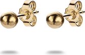 Twice As Nice Oorbellen in 18kt verguld zilver, bol
