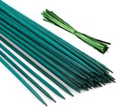 Ferrarium 50 stuks groene bamboestok geverfd 40cm Ø 4 mm - groene bamboestokken - groene plantondersteuning - groene sateprikkers