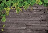 Fotobehang Wooden Wall Grapes | XXXL - 416cm x 254cm | 130g/m2 Vlies