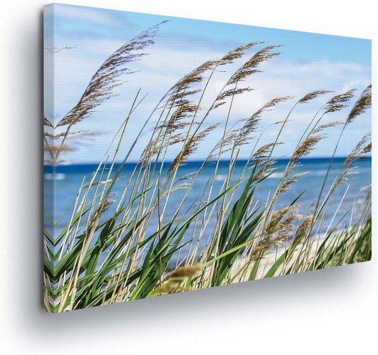 Grass Beach Sea Nature Canvas Print 100cm x 75cm