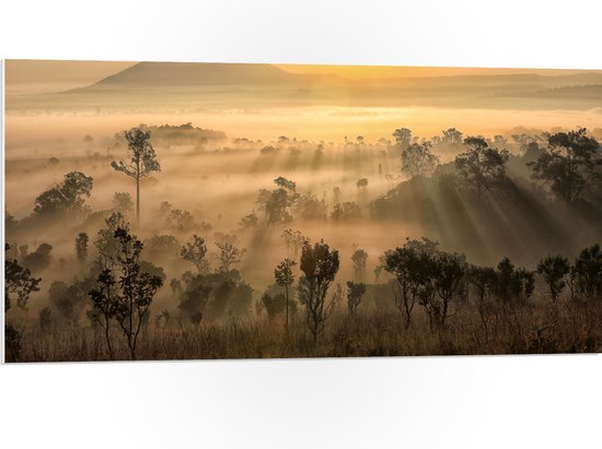 PVC Schuimplaat- Zonnestralen Schijnend over de Bergtoppen in het Landschap - 100x50 cm Foto op PVC Schuimplaat