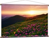 Textielposter - Zonsondergang Verdwijnend achter Gebergte vol Paarse Bloemen - 120x80 cm Foto op Textiel