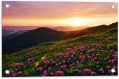 Tuinposter – Zonsondergang Verdwijnend achter Gebergte vol Paarse Bloemen - 60x40 cm Foto op Tuinposter (wanddecoratie voor buiten en binnen)