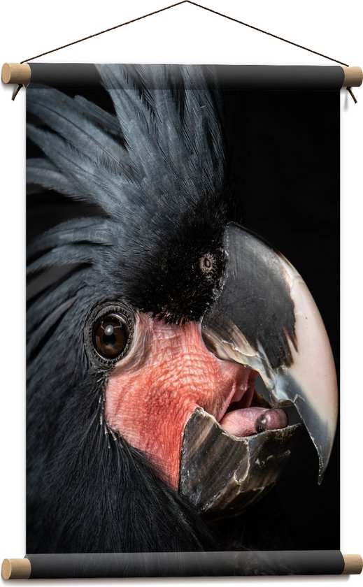 Textielposter - Zwartkleurige Kaketoe Vogel tegen Zwarte Achtergrond - 40x60 cm Foto op Textiel
