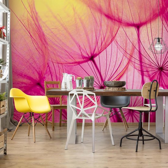 Papier peint Fleur de pissenlit | XXXL - 416 cm x 254 cm | Polaire 130g / m2