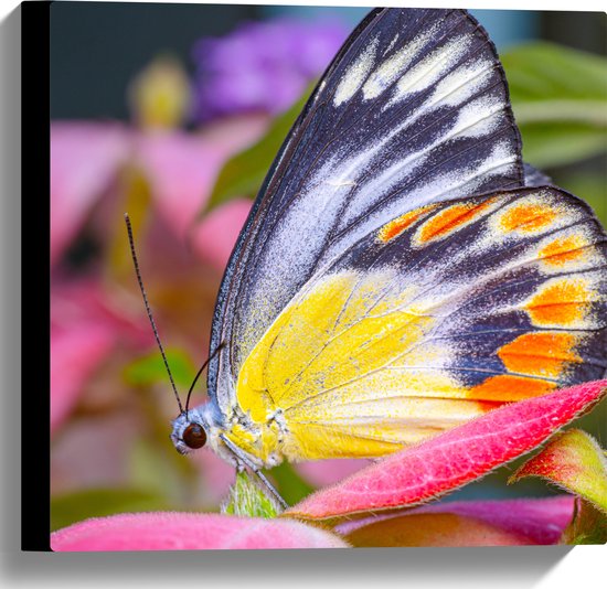 Canvas - Zwart met Gele en Oranje Vleugels aan Delias hyparete Vlinder op Roze Bloemen - 40x40 cm Foto op Canvas Schilderij (Wanddecoratie op Canvas)