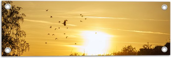 Tuinposter – Zwern Vogels Vliegend boven de Bomen tijdens de Mooie Zonsondergang - 60x20 cm Foto op Tuinposter (wanddecoratie voor buiten en binnen)
