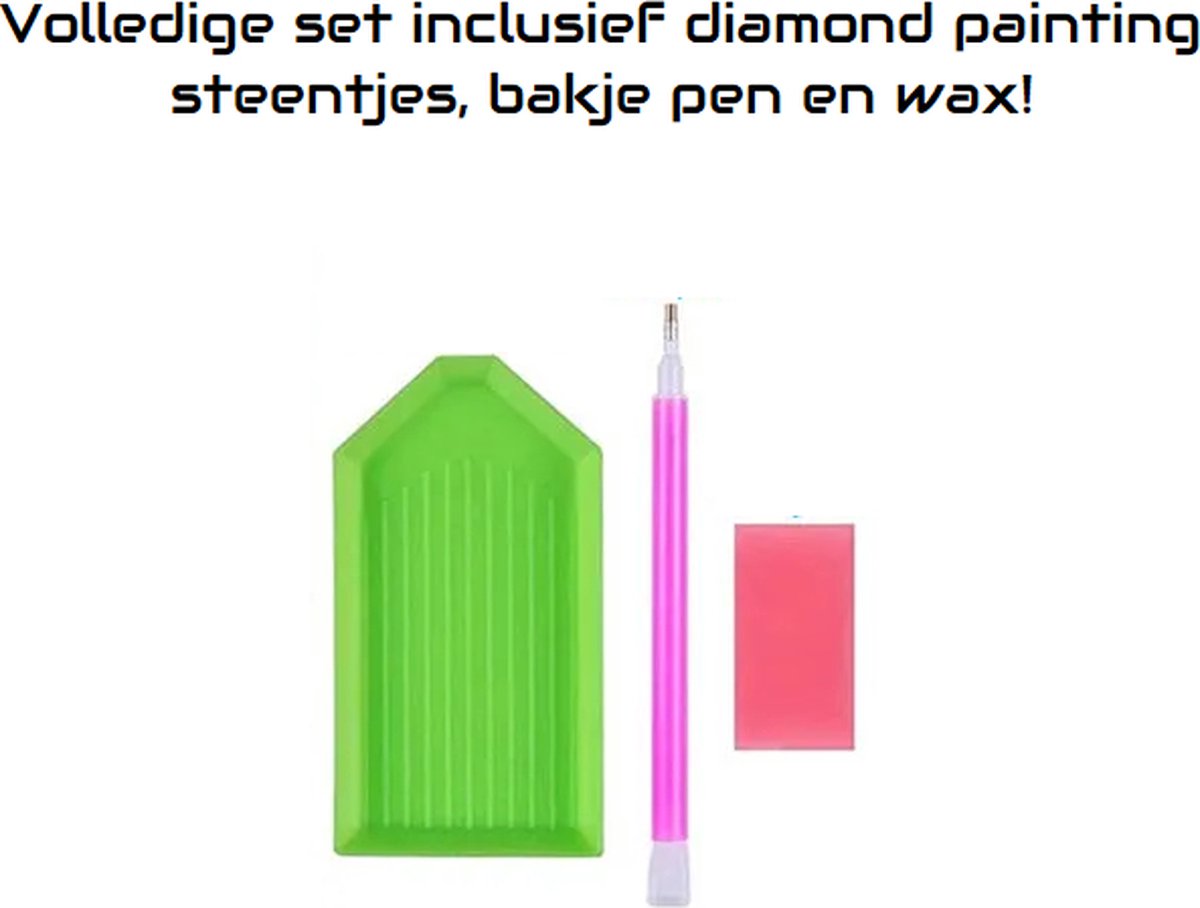 SIEPS Diamond Painting Volwassenen - Diamond Painting Kinderen - Kleurrijke Prachtige Pauwen - Inclusief Diamond Painting Pen , Bakje & Wax - 30 x 40 CM - Diamond Painting Pakket Volledig — afbeelding 3