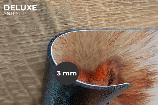 Set de Table - Napperons en Plastique - Écureuil - Animaux - Nature - Oranje - Wit - 45x30 cm - 6 pièces - Résistant à la Chaleur - Antidérapant - Coussinet - Amovible