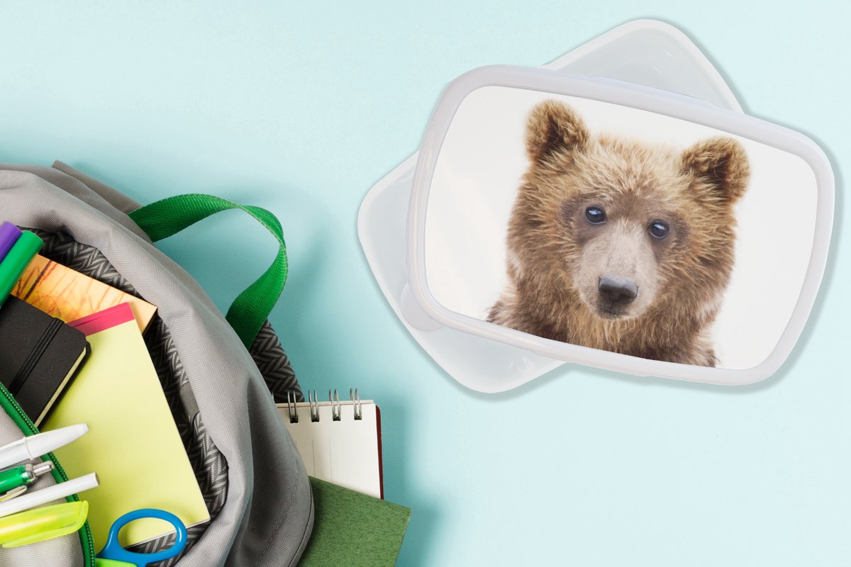 Broodtrommel Wit - Lunchbox - Brooddoos - Beer - Bruin - Dieren - Natuur - 18x12x6 cm - Volwassenen