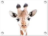 Tuin decoratie Giraffe - Dieren - Natuur - Portret - 40x30 cm - Tuindoek - Buitenposter