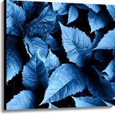 Canvas - Struiken vol Blauwkleurige Planten - 100x100 cm Foto op Canvas Schilderij (Wanddecoratie op Canvas)