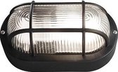 Bullseye lamp | XXL | Buiten | Glas | Half | Zwart | 11W | E27