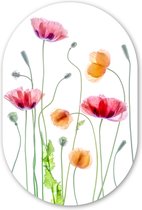 Klaproos - Bloemen - Lente - Wit Kunststof plaat (5mm dik) - Ovale spiegel vorm op kunststof