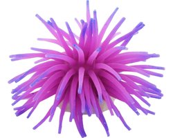 Nobleza Aquariuminrichting - Nep koraal - 6 cm - Aquarium decoratie - Anemoon kunstmatig - Fluorescerend - Paars
