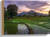 Hout - Rijstvelden Vol met Water in Indonesië - 40x30 cm - 9 mm dik - Foto op Hout (Met Ophangsysteem)