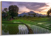 Hout - Rijstvelden Vol met Water in Indonesië - 120x80 cm - 9 mm dik - Foto op Hout (Met Ophangsysteem)