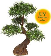 De Luxe kunstplant  Podocarpus Bonsai x5 90 cm