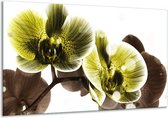 Schilderij Op Canvas Orchidee - Geel, Grijs - 120x70cm 1Luik - Foto Op Canvas - GroepArt 6000+ Schilderijen 0p Canvas Art Collectie - Wanddecoratie - Woonkamer - Slaapkamer - Canvas Print