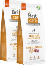 BRIT Care Hypo Allergenic Junior Large Race Agneau & Riz 2 x 12 kg