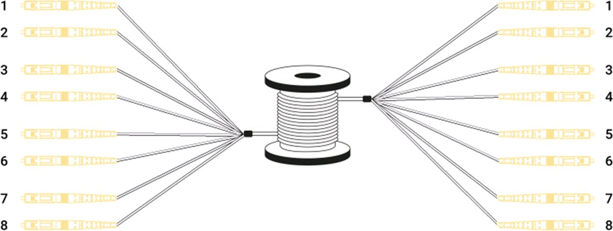 DIGITUS - Breakout-kabel