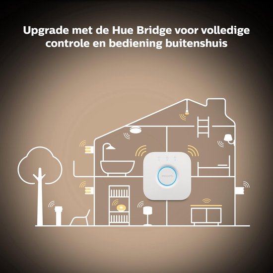 Een illustratie van een huis met een Philips Hue Bridge in het midden, omringd door lampen en zendersignalen.