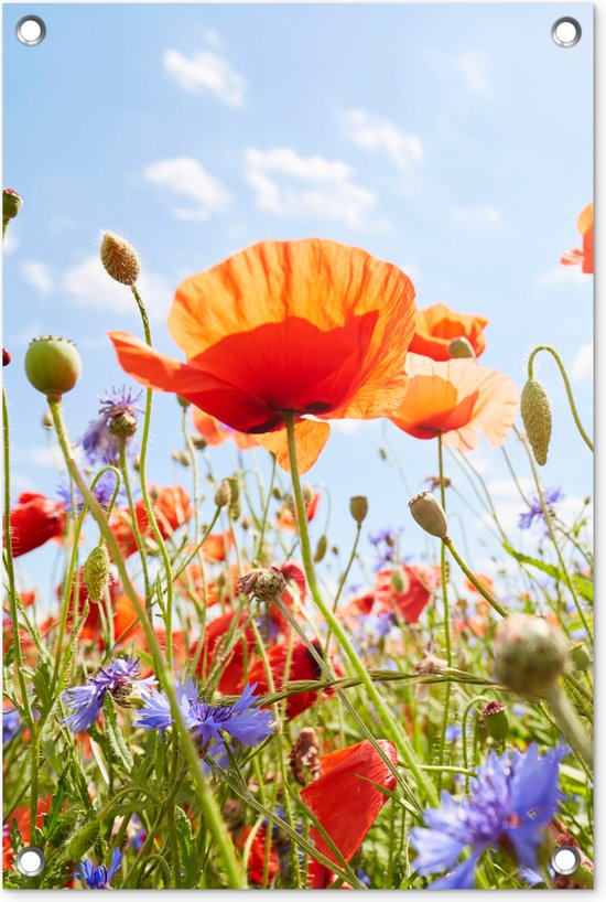 Tuindecoratie Bloemen - Klaproos - Lente - Natuur - Rood - Blauw - 40x60 cm - Tuinposter - Tuindoek - Buitenposter
