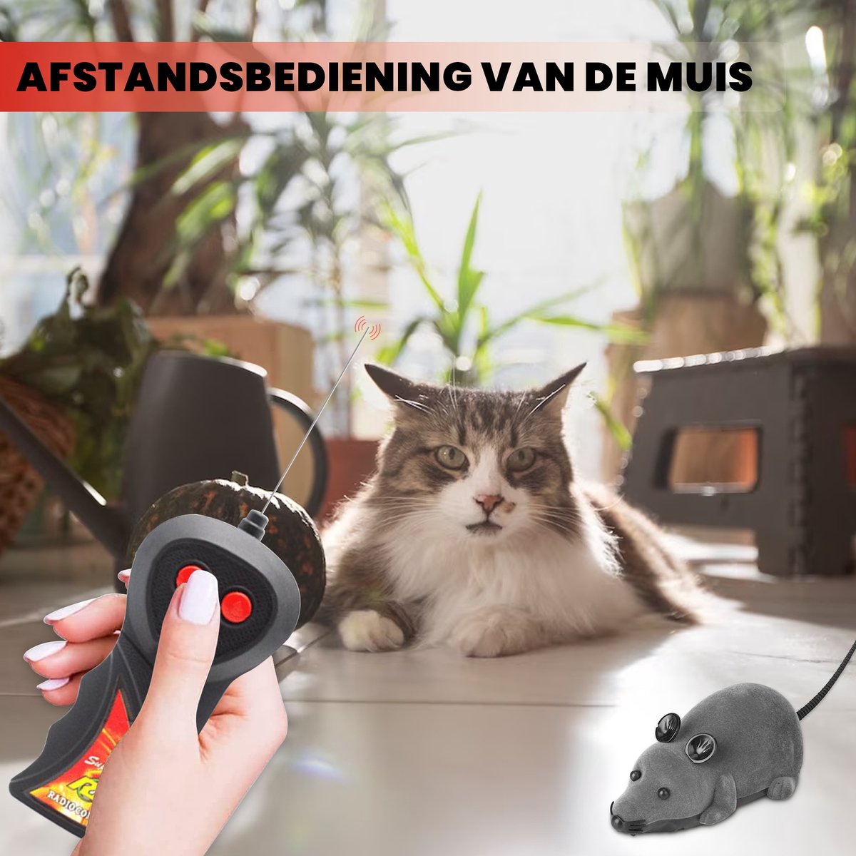 Wat voor muizen en spitsmuizen eten onze Utrechtse kerkuilen? | De