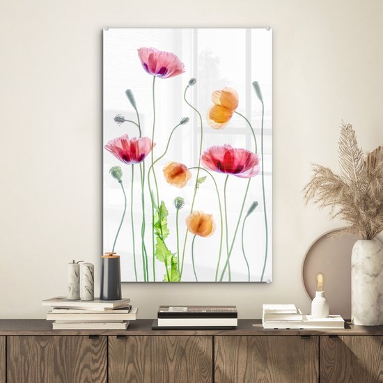 Glasschilderij bloemen - Schilderij op glas - Klaproos - Lente - Wit - Acrylglas - Wanddecoratie glas - 40x60 cm
