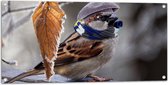 Tuinposter – Koude Vogel met Sjaal en Muts op Tak - 100x50 cm Foto op Tuinposter (wanddecoratie voor buiten en binnen)