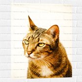 Muursticker - Prachtige Kat in het Zonlicht met Mooie Ogen - 60x80 cm Foto op Muursticker