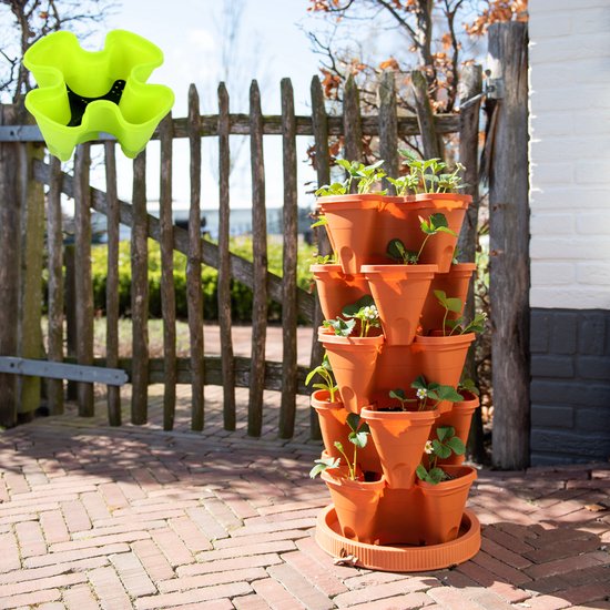 GUSTA GARDEN Sissi Strawberry alátét - Online Shop