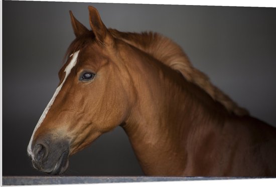 PVC Schuimplaat- Zijaanzicht van Bruin Paard met Witte Bles - 120x80 cm Foto op PVC Schuimplaat