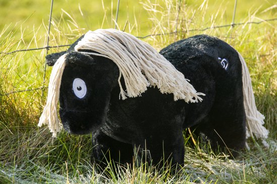 Zwart pluche paardje met witte manen en staart, met cijfer 6 op de bil