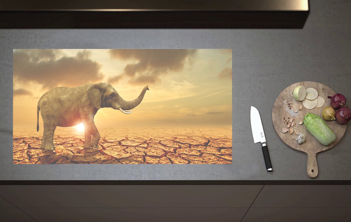 Inductieplaat Beschermer - Grote Olifant lopend over Gescheurde Aarde tijdens Zonsondergang - 90x52 cm - 2 mm Dik - Inductie Beschermer van Vinyl