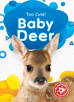 Too Cute! - Baby Deer