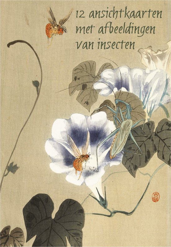 ﻿Wenskaarten set insecten - 12 ansichtkaarten met afbeeldingen van insecten op oude prenten van diverse kunstenaars