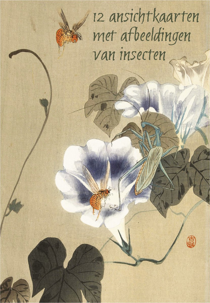 Wenskaarten set insecten - 12 ansichtkaarten met afbeeldingen van insecten op oude prenten van diverse kunstenaars