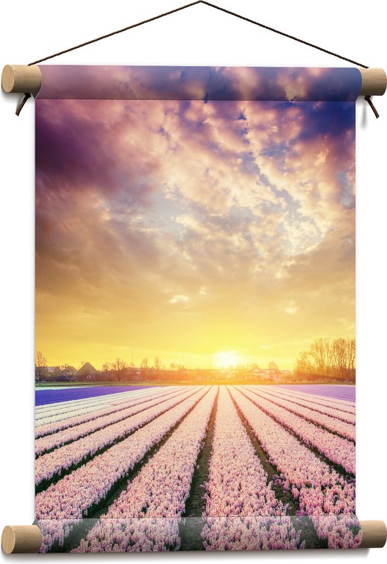 Textielposter - Rijen Narcissen in Verschillende Kleuren in het Veld met Zonsondergang - 30x40 cm Foto op Textiel