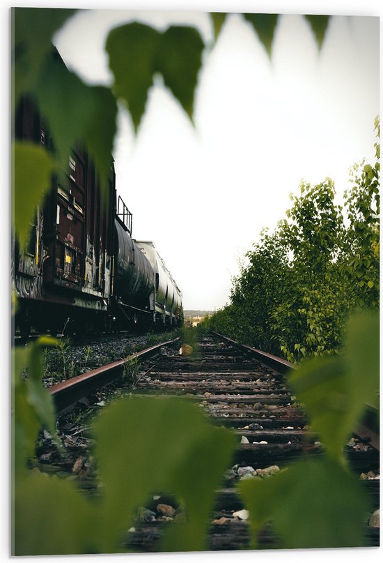 Acrylglas - Begroeiing over het Spoor - 50x75 cm Foto op Acrylglas (Wanddecoratie op Acrylaat)