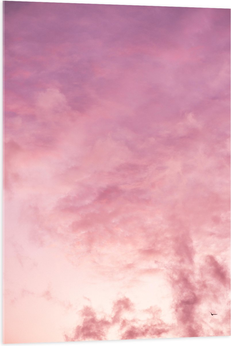 Acrylglas - Zachtroze Lucht met Sluierbewolking - 70x105 cm Foto op Acrylglas (Wanddecoratie op Acrylaat)