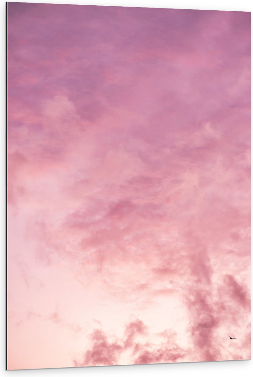Dibond - Zachtroze Lucht met Sluierbewolking - 80x120 cm Foto op Aluminium (Wanddecoratie van metaal)