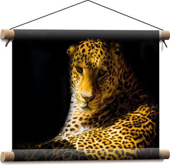 WallClassics - Textielposter - Zonlicht op Panter - 40x30 cm Foto op Textiel