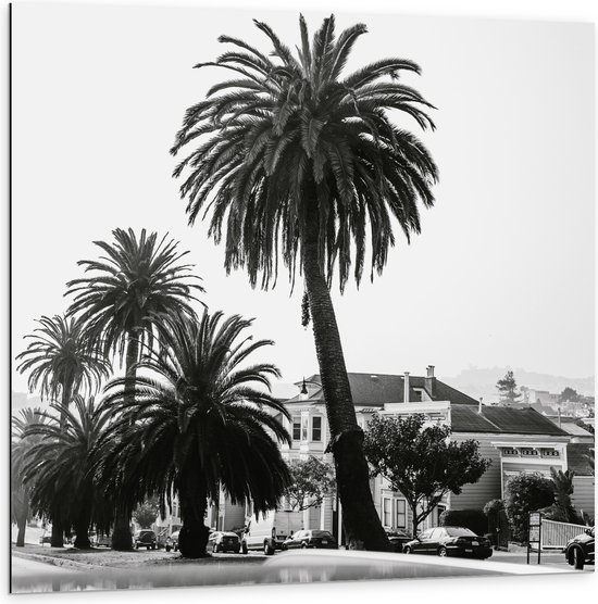 WallClassics - Dibond - Palmbomen in Amerikaanse Buurt (Zwart- wit) - 100x100 cm Foto op Aluminium (Wanddecoratie van metaal)
