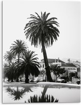 WallClassics - Acrylglas - Palmbomen in Amerikaanse Buurt (Zwart- wit) - 30x40 cm Foto op Acrylglas (Met Ophangsysteem)