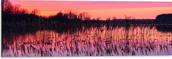 Dibond - Rozekleurige Lucht boven Meer met Waterplanten - 90x30 cm Foto op Aluminium (Wanddecoratie van metaal)